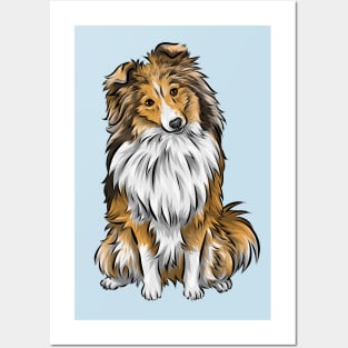 Cute Shetland Sheepdog | Sable | Herding Dog Posters and Art